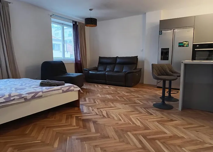 Apartment In The Center Of Oid Town